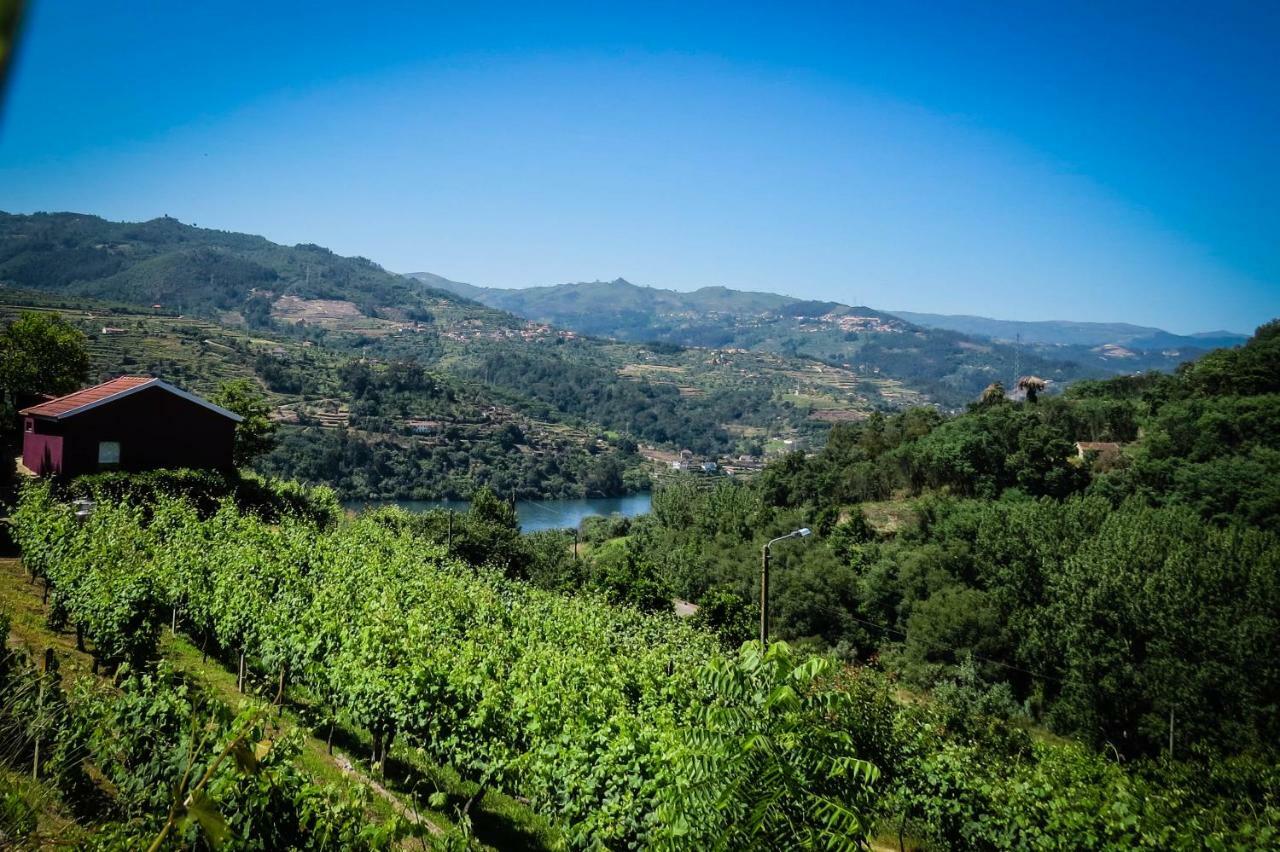 Casa Da Mouta - Douro Valley バイアン エクステリア 写真
