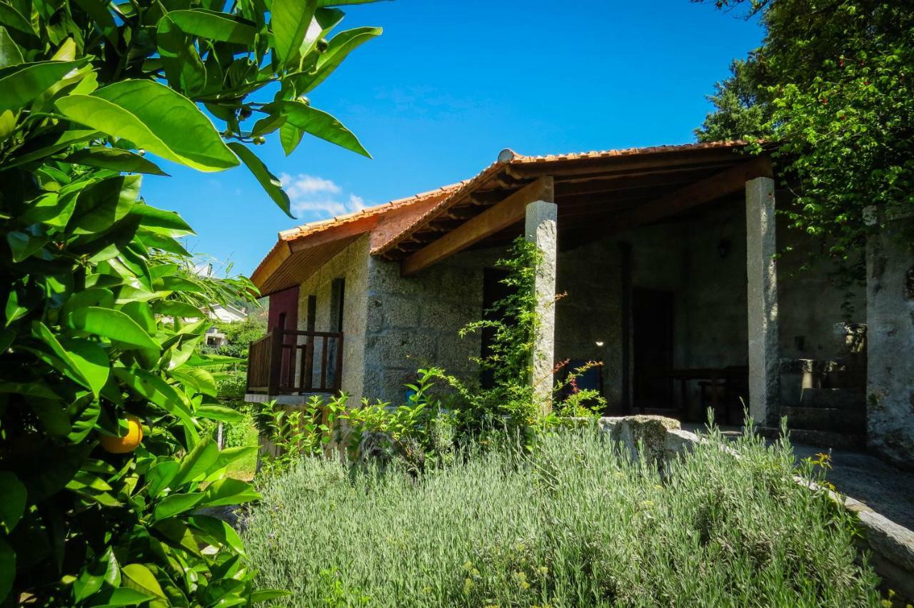 Casa Da Mouta - Douro Valley バイアン エクステリア 写真