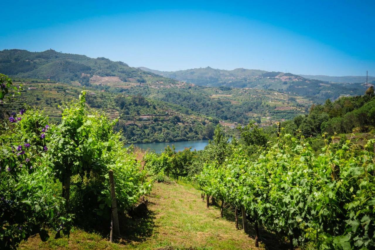 Casa Da Mouta - Douro Valley バイアン エクステリア 写真