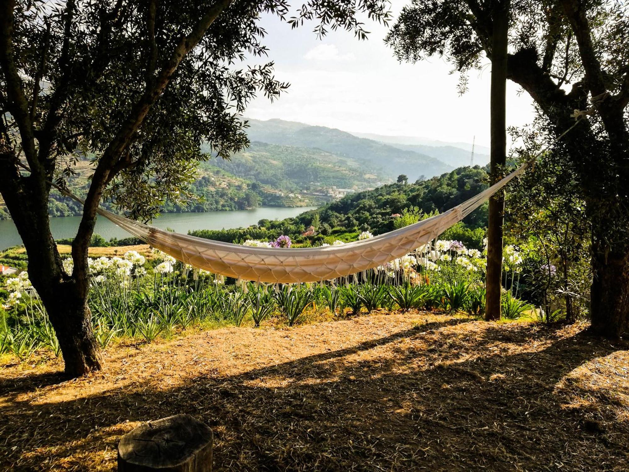 Casa Da Mouta - Douro Valley バイアン エクステリア 写真