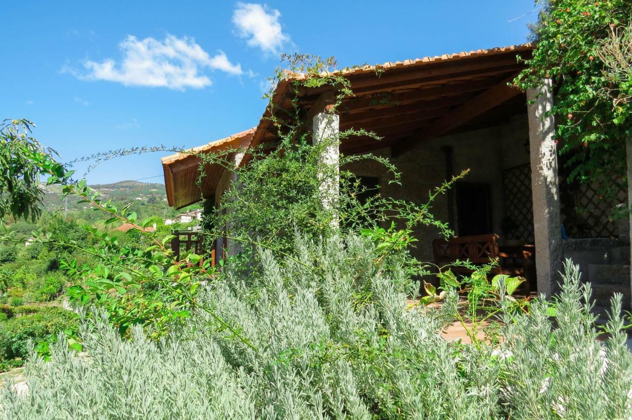 Casa Da Mouta - Douro Valley バイアン エクステリア 写真