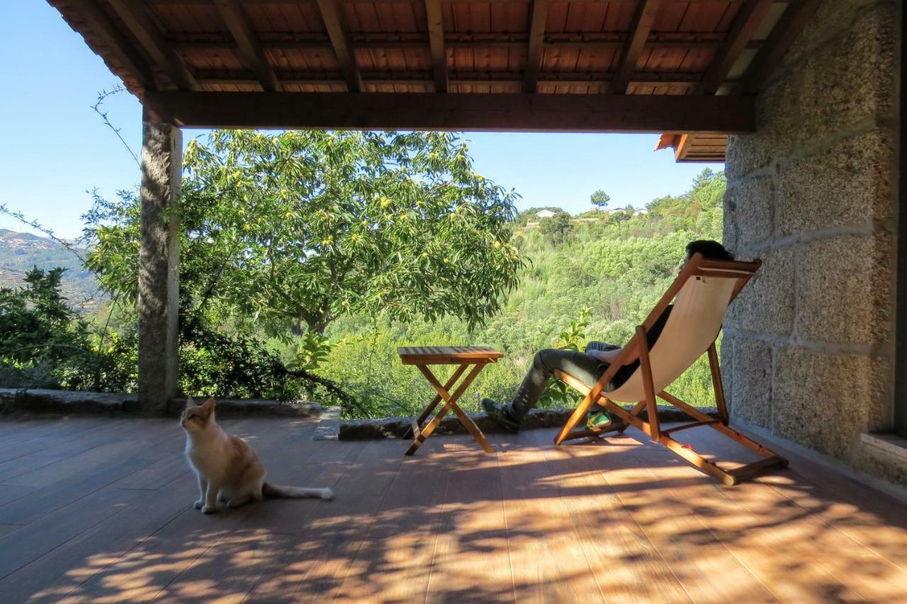 Casa Da Mouta - Douro Valley バイアン エクステリア 写真